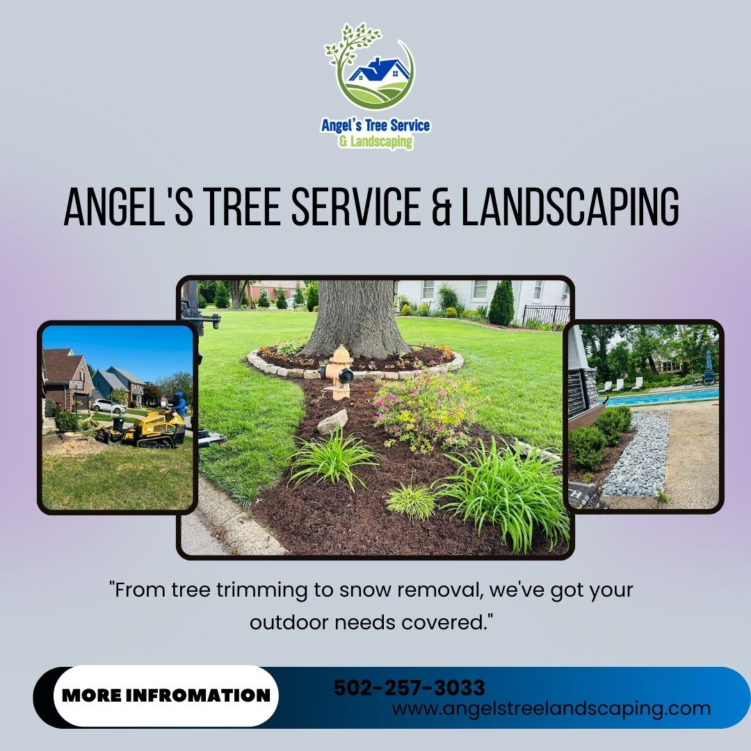 Angel's Tree Service & Landscaping Image